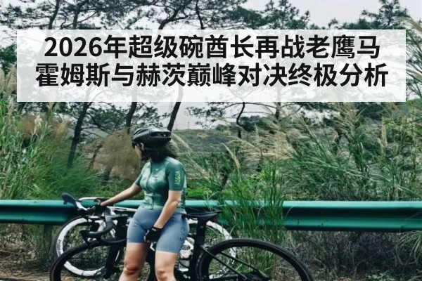 2026年超级碗酋长再战老鹰马霍姆斯与赫茨巅峰对决终极分析
